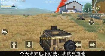 食行荒野,自然馈赠与生存智慧之旅