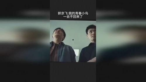 我的青春小鸟一去再回来,鸟影留痕